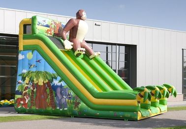 اسلاید بادی قابل انعطاف بزرگ گوریلا اسلاید Slide Dry Inflatable برای تفریح