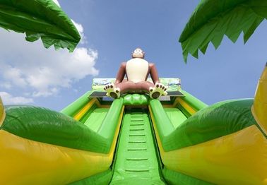 اسلاید بادی قابل انعطاف بزرگ گوریلا اسلاید Slide Dry Inflatable برای تفریح