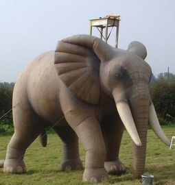 سفارشی ناز فیل ظهور تبلیغات محصولات تزئین حیوانات بادوام
