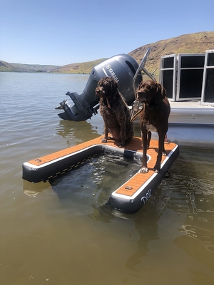 ریمپ قابل تنظیم قابل انعطاف قابل حمل برای سگ ریمپ پرتاب قابل حمل برای سگ ریمپ قفسه ای پله حیوانات خانگی ریمپ سگ برای استخر ها، دریاچه ها، قایق ها و قفسه
