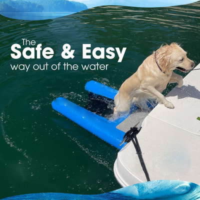 کمک به سگ از آب بیرون آمدن DWF PVC پلپولین پله سگ پله آب سگ بادکنک برای شنا کردن حیوانات خانگی