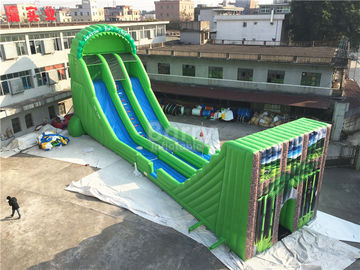 گریت تجاری Inflatable Zip Line Slide برای بزرگسالان رنگ سبز