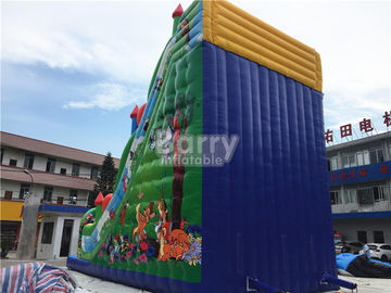 11x6X9m اسلاید بادکنک تجاری، تزئینات پلاستیکی PVC، پریدن قلعه