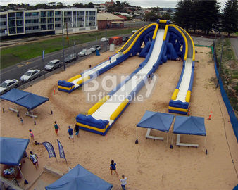 اسلاید Inflatable Logo غنی، اسلاید Inflatable غول پیکر، Hippo سه خط اسلاید آب بادی