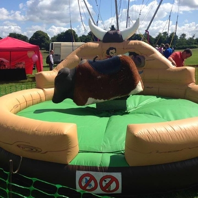 تشک بادی Rodeo Mechanical Crazy Bull برای پارک تفریحی