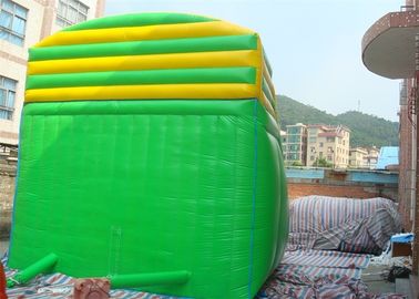 ماهی دو بالن صعود نردبان تجاری اسلاید بادی برای بزرگسالان