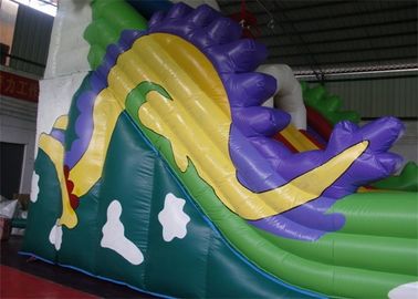 اسلاید بادی Dragon Trippo Commercial با پارچه پلاستیکی پلاستیکی مقاوم در برابر Dragon Trippo