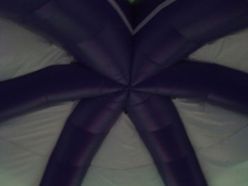 نمایش چادر Inflatable تبلیغاتی، چادر عنکبوت تورم برای تبلیغات