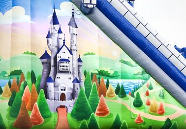قلعه آبی بزرگ Comelot Jump و Slide Inflatables با دیوار صعود
