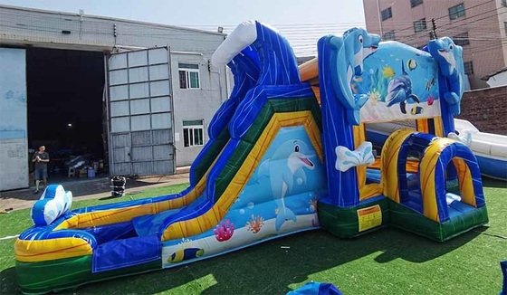 خانه پرتابی دلفین ساخته شده با اسلاید زیر آب