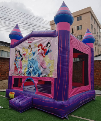 خانه پرتابی پرنده ای برای فروش قلعه پرتابی