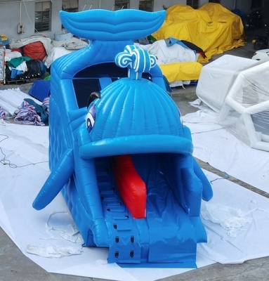 حیاط خلوت خانه طرح نهنگ سرسره های آب بادی تجاری