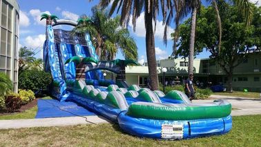 Blue Jungle Theme بزرگ دو لاین آب اسلاید با استخر بزرگ