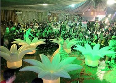 چراغ آفتابگردان بادی بادی چراغ برای پیشنهاد زناشویی رمانتیک