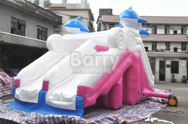 0.55mm Pvc Material for Tarpaulin Dolphin Pink Slide Inflatable برای استخر شنا